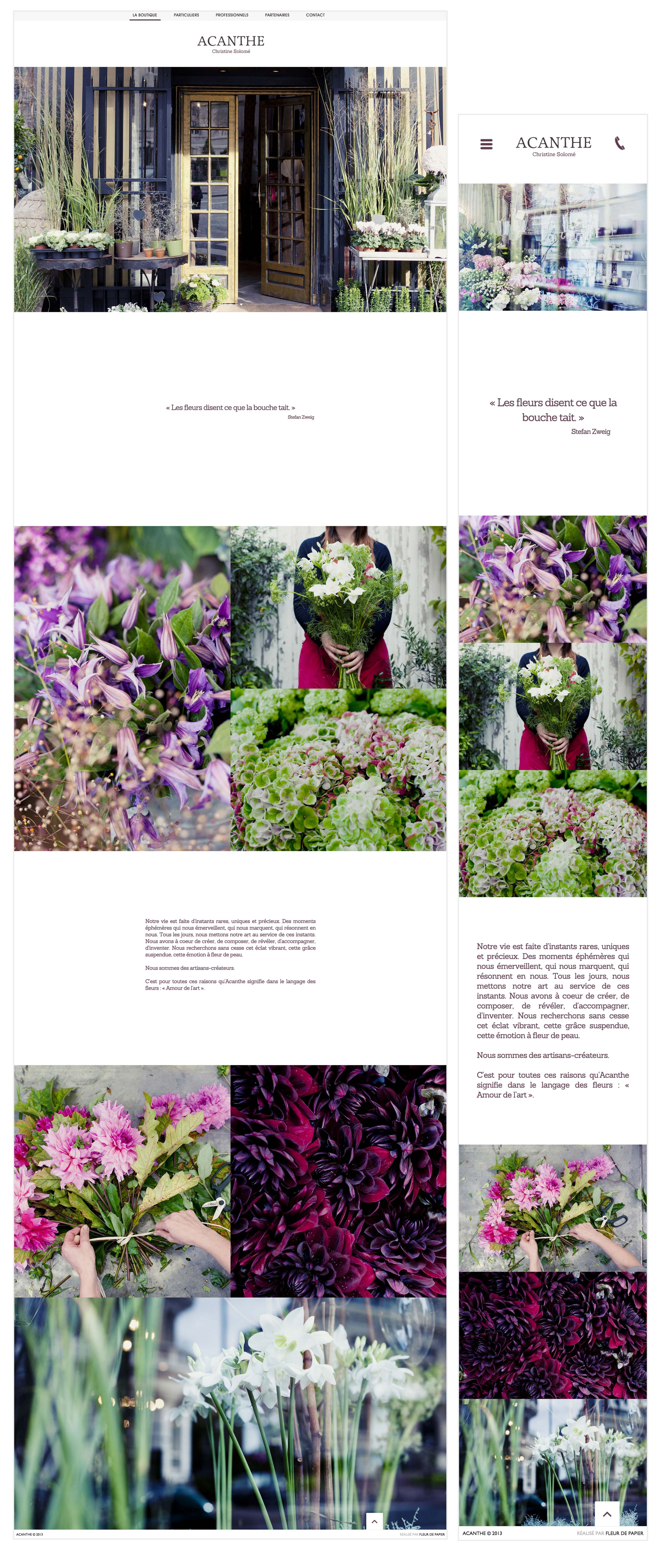 Acanthe - Christine Solomé