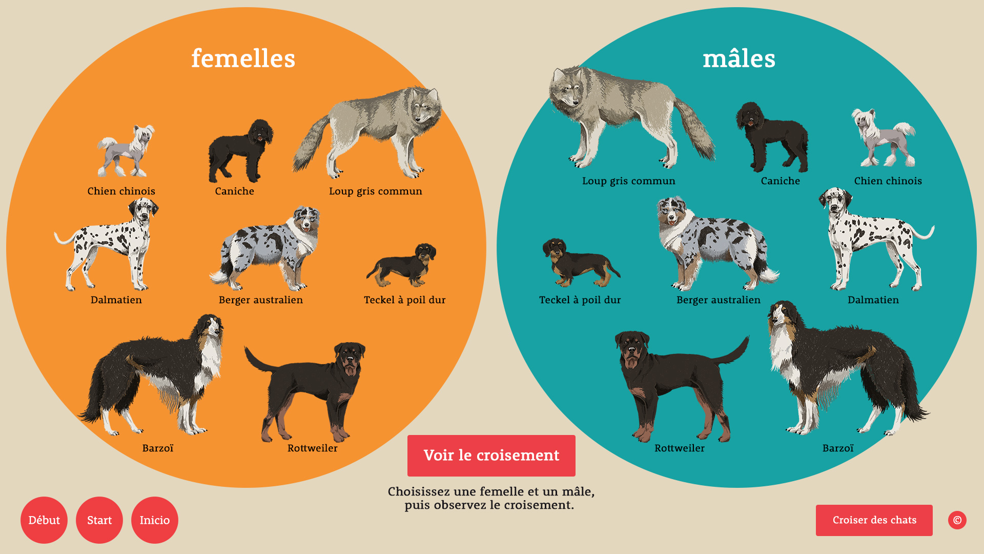 Chiens & Chats l'EXPO