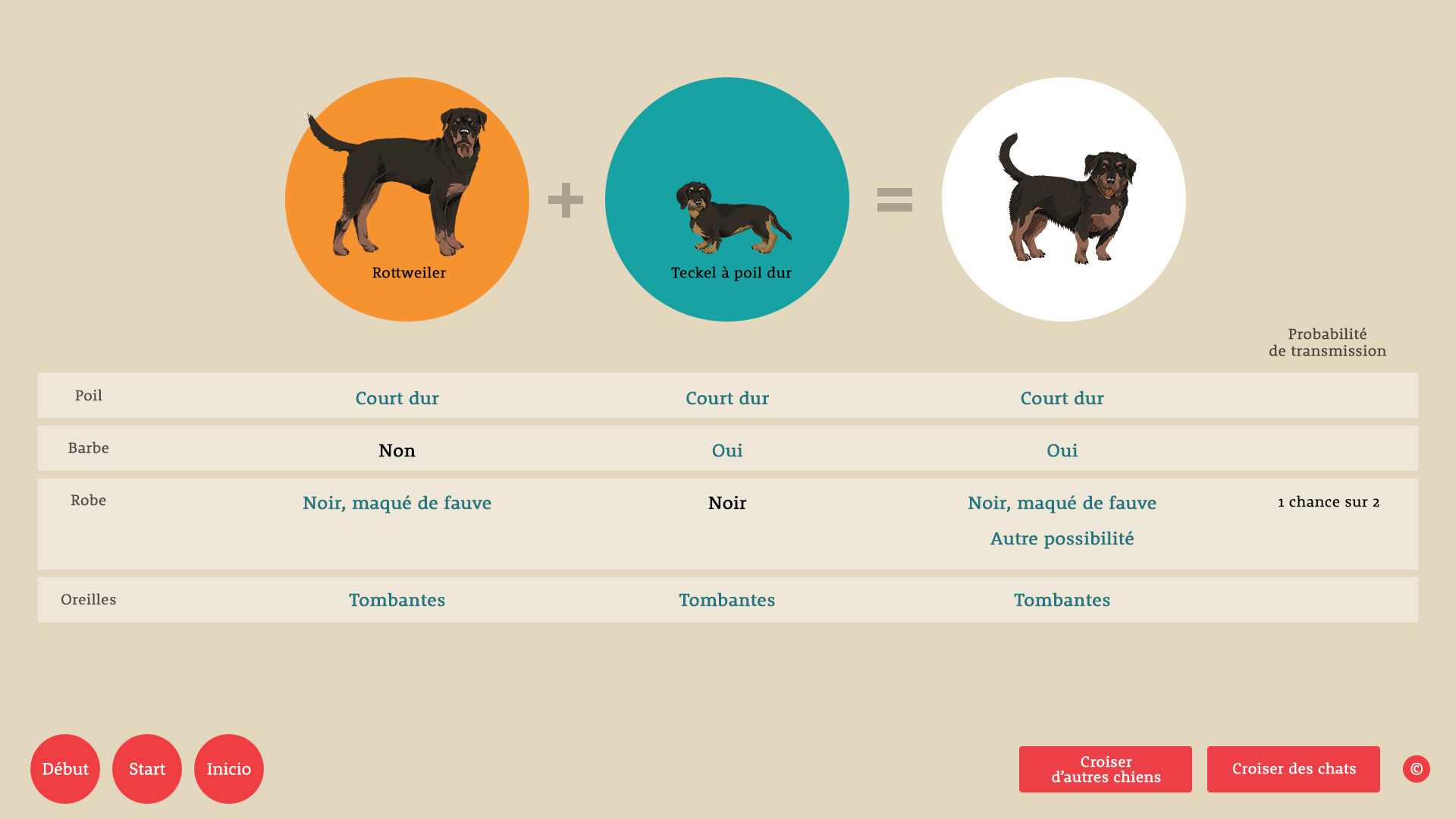 Chiens & Chats l'EXPO