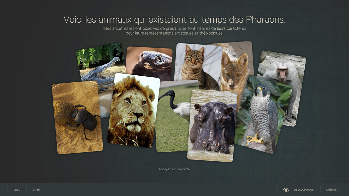 Des animaux et des Pharaons